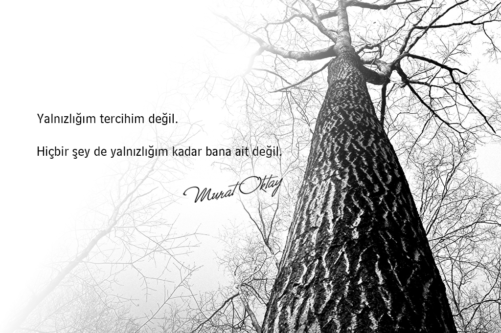 murat oktay soz6